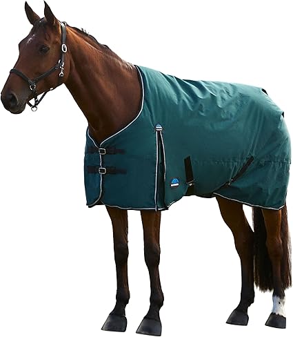 Couverture imperméable pour chevaux en pâture de la marque Weatherbeeta